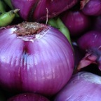 Cebollas
