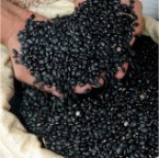 Habichuelas Negras