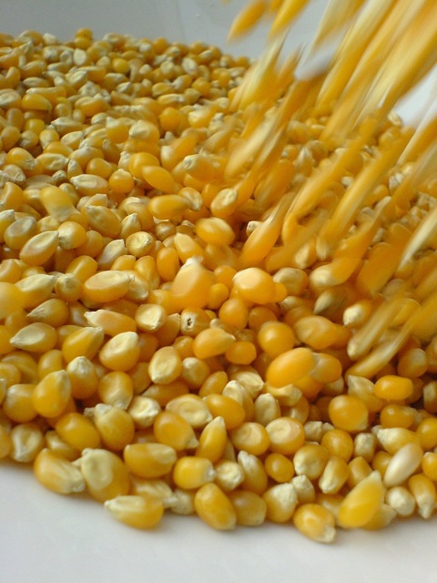 Loading Image