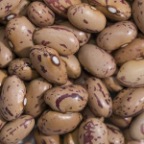 Yacumelo
